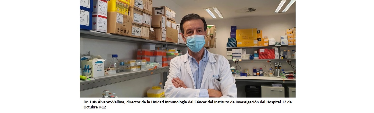 Investigadores del Instituto i+12 lideran una nueva inmunoterapia híbrida que combina anticuerpos y vacunas para hacer frente a futuras pandemias