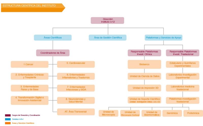 ESTRUCTURA CIENTÍFICA