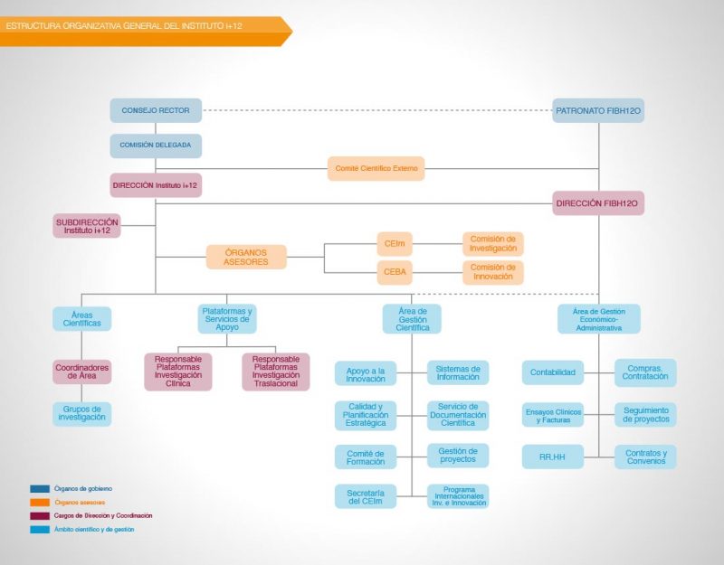 ESTRUCTURA ORGANIZATIVA GENERAL