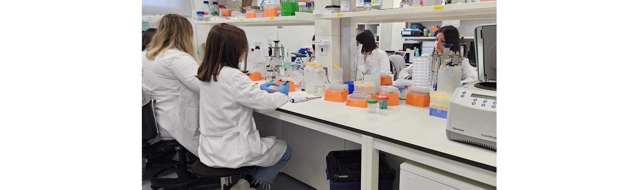 Investigadoras del Instituto i+12 buscan despertar vocaciones científicas en el Día de la Mujer y la Niña en la Ciencia.